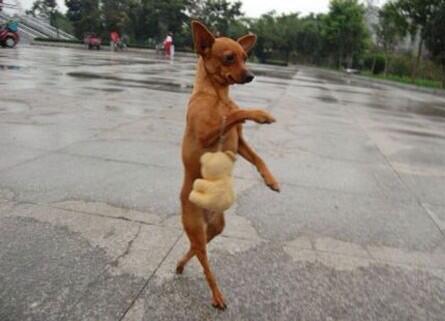 Watch Eric B.'s leaked NSFW photo on TwXstars