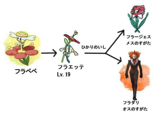 ナリ Kutabie そっかぁ オスの進化した姿だったのか フラベベ育ててないから知らなかったよ Twitter