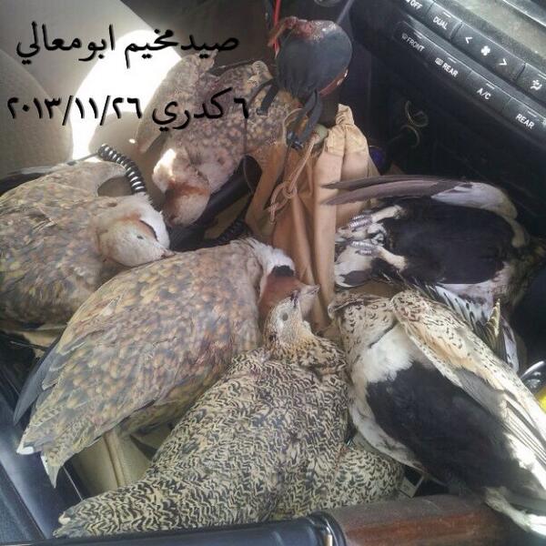 وهذي صورة ثانيةة