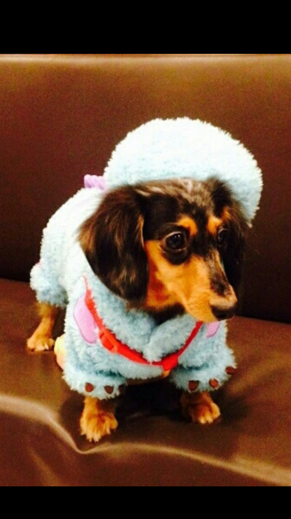 realjonghyun90's tweet photo. 루!!옷입었다!! http://t.co/zqt3cvN2S3