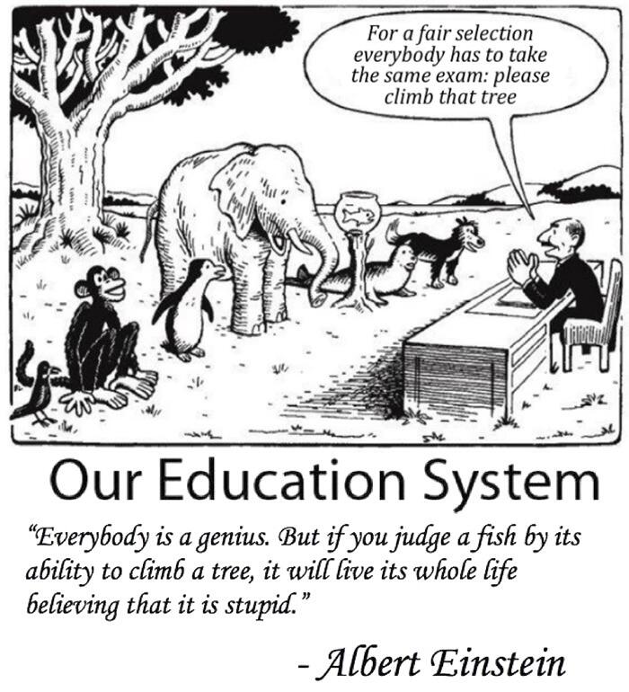 Fish Don't Climb Trees: The Important Education Cartoon