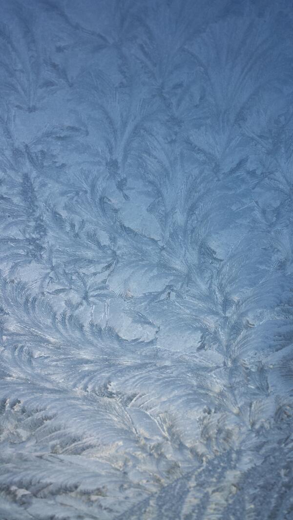 SamanthaForden's tweet image. Frozen car window this morning... #Frozen #PrettyPattern #winter #nofilter