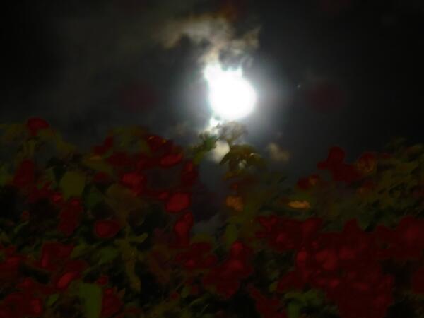 RealRonHoward's tweet photo. crazy moon last night in La Gomera http://t.co/F3t2Zv4Ukw
