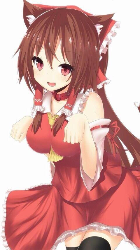 私が猫耳付けたら萌えるって人rt萌えないって人ふぁぼ襲ってやるよって人dm