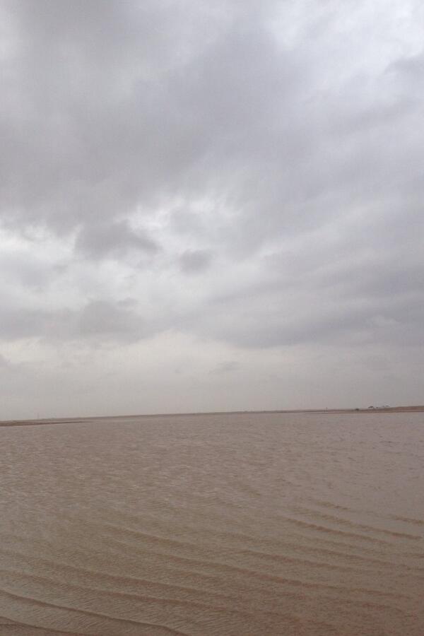 gookr_2012's tweet photo. @WeatherKuwait 

صوره فوريه من الرتقه http://t.co/Tv4GXsXMhn