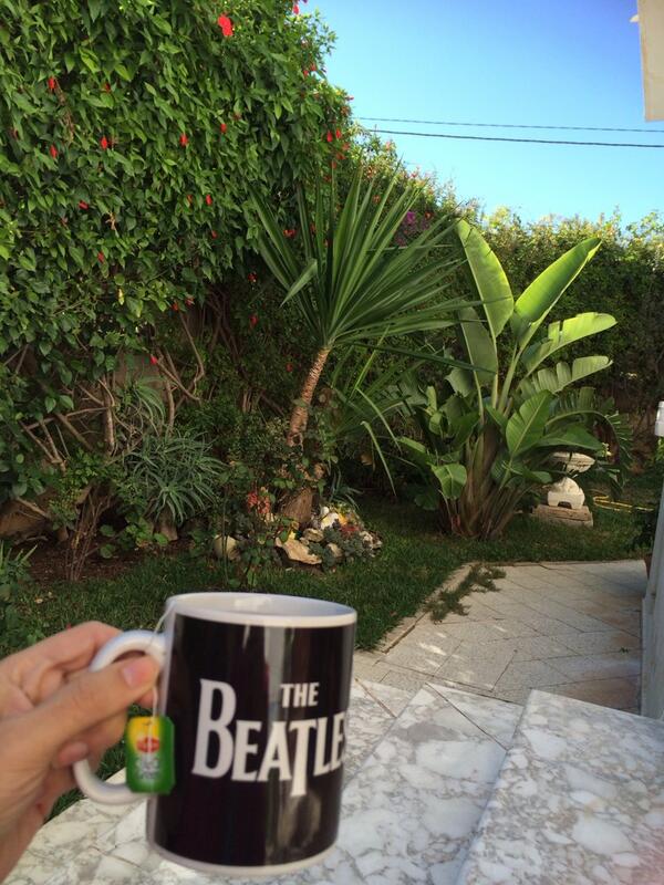 LiveHealthyTn's tweet image. Enjoying an after #snack Clear Green Tea in our sunny garden :)) #greentealife #healthyishappy
