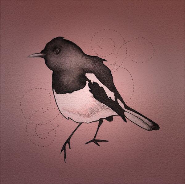 deece's tweet photo. Bye bye birdy - http://t.co/8qE9RkLGHO http://t.co/tbTT6wgA8j