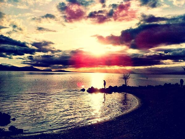 MyThirdCulture's tweet photo. Beautiful photographs taken by a TCK in Lausanne, Switzerland #WorldPhotography http://t.co/zR5zIw2zXt http://t.co/KPYbFWqelz