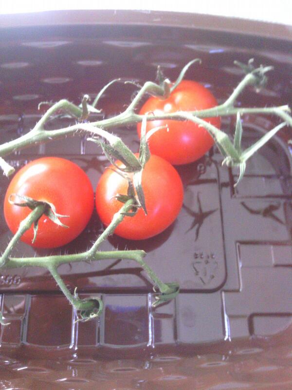 Moose_mooose's tweet image. LT and these tomatoes, I&apos;m on a roll #hungerproblems