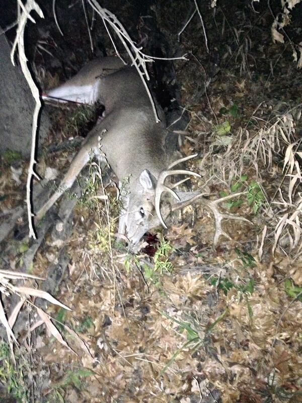 nruddell25's tweet photo. #BBD #kansas #huntflow http://t.co/S92BvdOSqJ
