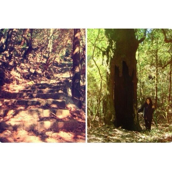 JasminTmg's tweet photo. hiked on this scenic route 🌳 http://t.co/OrI27Ql7Lx