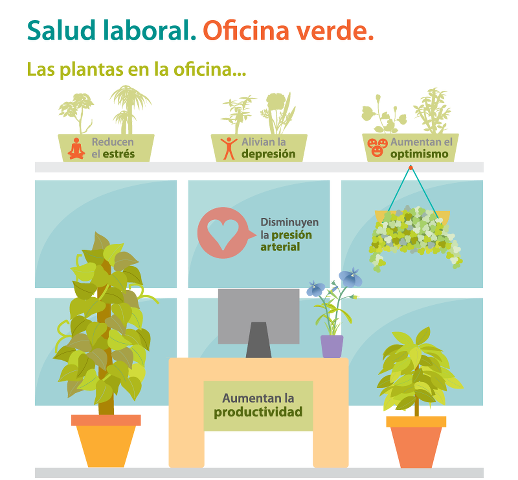 EsteSiOk's tweet photo. Anímate a tener plantas en casa http://t.co/Uzc2QVBdXI http://t.co/NagvySVNeJ