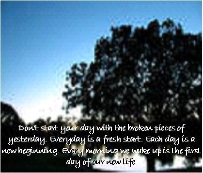 Accu1Direct's tweet photo. Every day is a fresh start. #quote http://t.co/8jbw4VS5ta