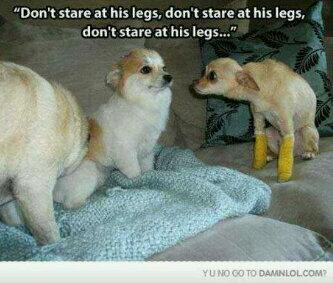 Jandrebeukes tweet picture