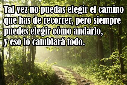 subversivos_'s tweet photo. #InventaUnaMulta para que te cierren la boca con la #LeyAnti15M ¡¡El camino más largo es quedarse parado!! http://t.co/U9k8CPOQIP