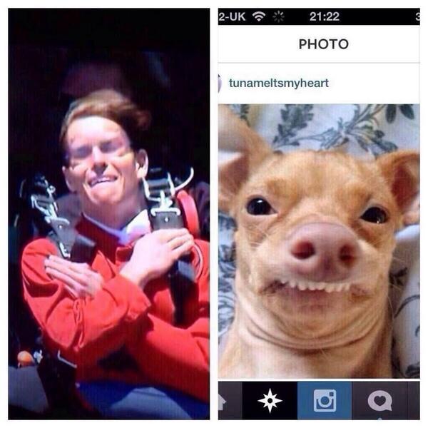 gemmaread92's tweet image. Hahahaha @ChelseaRender don't you love this dog?!