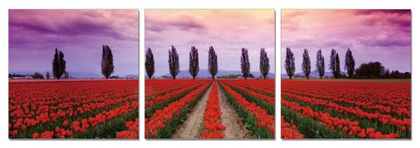 DecosoftART's tweet image. 