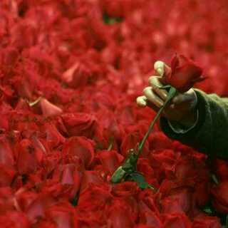 Tagh13's tweet photo. هذه لكل من صلى على رسولنا الحبيب http://t.co/ZdxHwig1LJ
