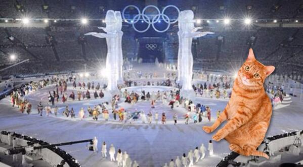 CatsInCanada's tweet photo. Cat at the Vancouver Olympics http://t.co/wRBjsNkOGJ
