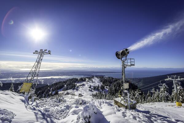 Lynn Kitchen tweet media