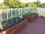 CookAPLanguage's tweet image. Rooftop edible vegetable garden @AcademyAandM sponsored by @SlowFoodMiami and installed by the amazing @Ready_to_Grow