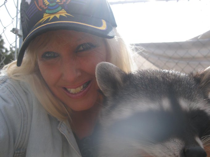 my raccoon bandit http://t.co/eY8s9w25FJ