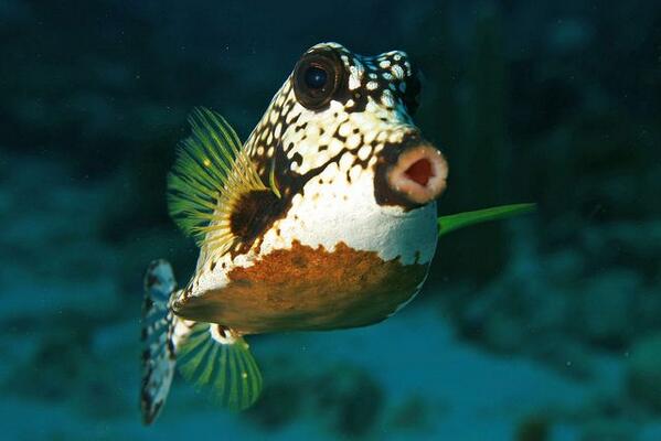 When girls take a SELFIE: