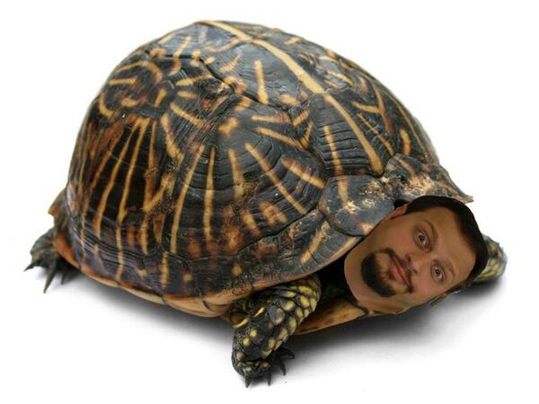 SternFBSuperfan's tweet photo. Love me some #SalTurtle @salgovernale , @HowardStern , @sternshow , @Siriusjay , #Superfans http://t.co/279xzAYwsC