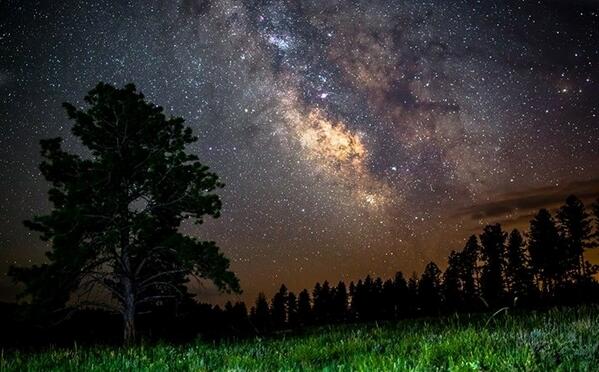 FredCuellar's tweet image. Goodnight Everyone! :)