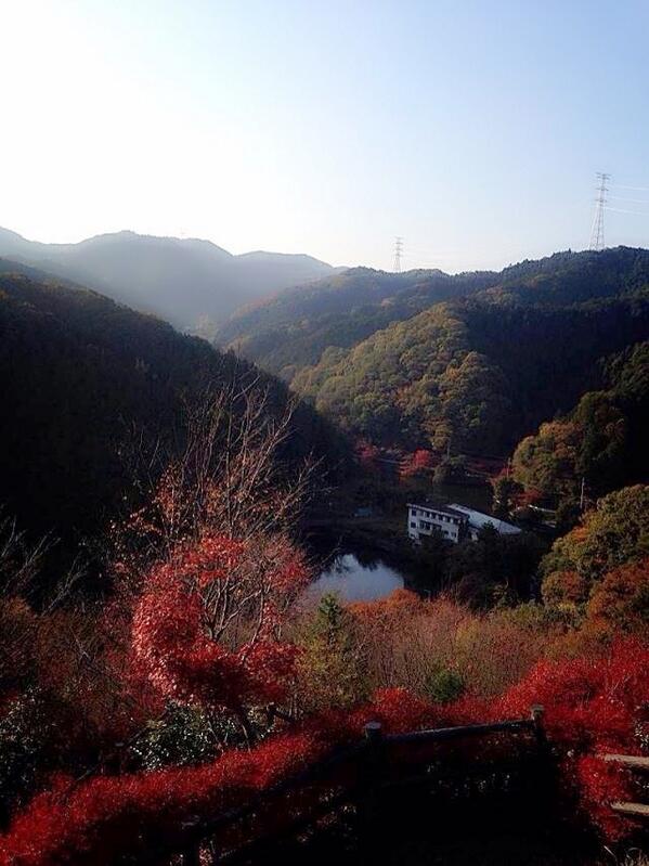 apricot_h's tweet photo. ひんやりした空気が気持ちいい。 http://t.co/sERhq7Rlea