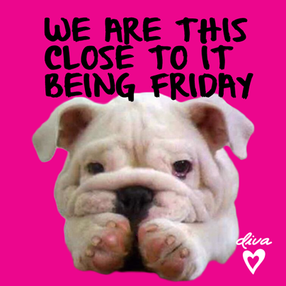 divaaccessories's tweet photo. Happy Hump Day everyone!!!  #diva #divaaccessories #humpday http://t.co/pfGfspDAAZ