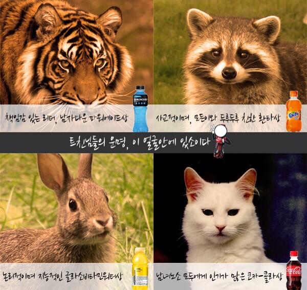 twikty's tweet photo. 환타 RT @CocaCola_Korea: 코코팍도사의 관상풀이!이번에도 역시 신통방통 용한 결과가 나왔죠?! 트친님들의 관상에 해당하는 음료를 RT와 함께 외쳐주세요^0^ 1분께 해당음료 1BOX선물! http://t.co/RoVDr6ZZSl