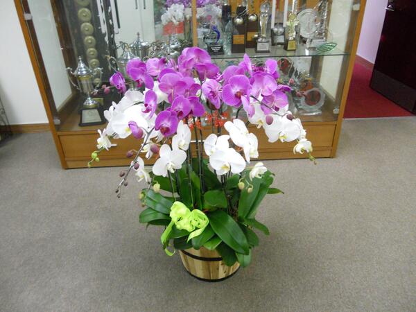 BISHCMC's tweet image. A lovely gift on teacher&apos;s day! Thank you to The LE family - our staff are bidding to take these home for #Haiyanhelp