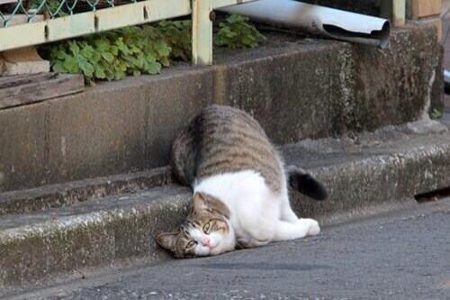 LawsonAndyFans's tweet photo. My mood right now http://t.co/mN7F36CRvr