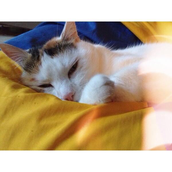 #winteriscoming #almostChristmas #relax #everythingiscold #summerback #Supernatural #schoolisover #justfortoday ❄️⛄️