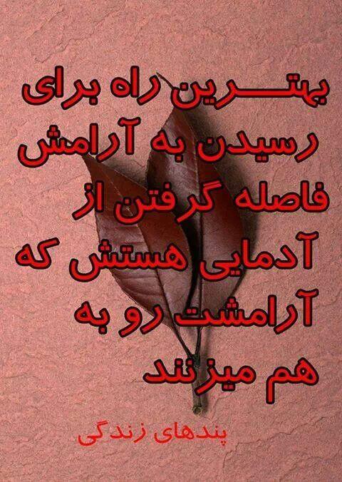 sara mosavi (@mosavi45) on Twitter photo 