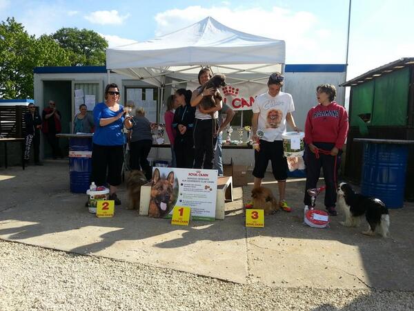 NathanMagnoux's tweet image. Souvenirs ptn &amp;lt;3 #selectif #agility