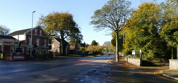 shutter_buggers's tweet image. The Shutter Buggers group is now looking for its next @photography project