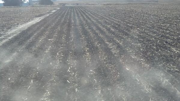 Cornfrmr's tweet image. Stripping where we loaded trucks. #hardpull