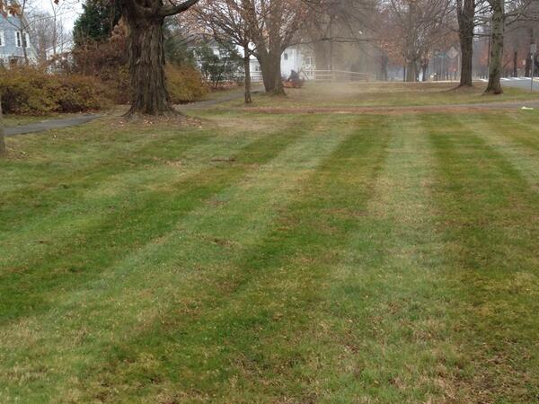 BladesMowing's tweet photo. Fall Cleanups! http://t.co/KNPO8fDlLI
