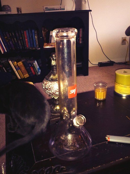 I got a new bong :)  http://t.co/jaEPoCcvDE<a href="/tag/onlyfans"class="tags"><span>#onlyfans</span></a>