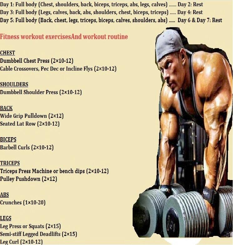 Jadual workout untuk beginner deals