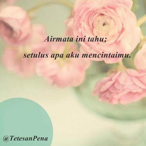 Airmata ini tahu