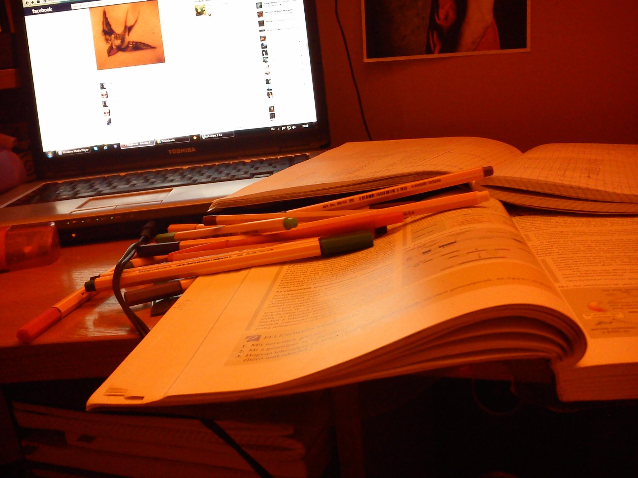 Permalien de l'image intgre