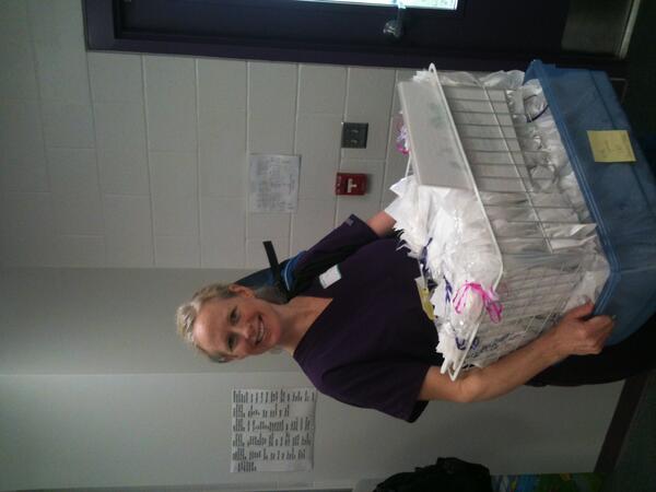 Seven Oaks Elem. (@sevenoakselem) on Twitter photo 