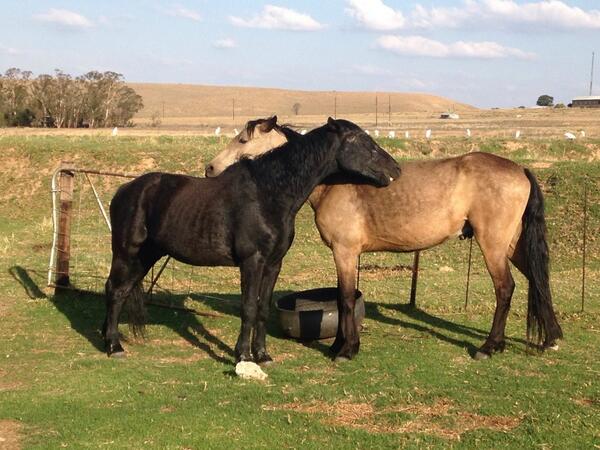 YankepYanke's tweet image. 