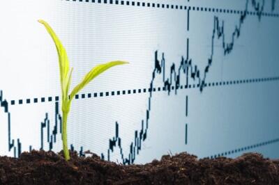 Tim Roach tweet media