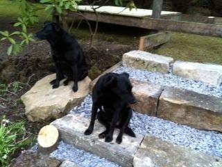 loveaniKAT's tweet photo. "Can we go on a walk now?" http://t.co/3auSst0FeH