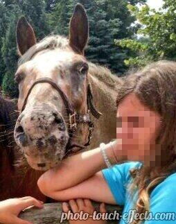 leonmller58's tweet photo. Das Pferd hat angst vor der Person oder? http://t.co/uHFQALPa6x