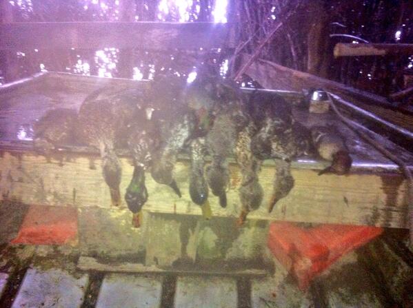 Bradleypeters6's tweet image. #WackNStack